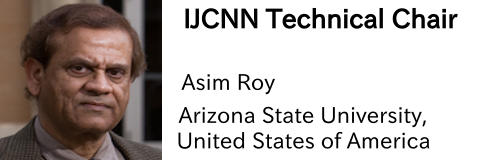 ijcnn-chair-asim-roy