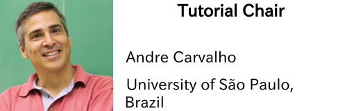 tutorial-chair-andre-carvalho