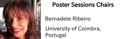wcci-poster-session-bernadete