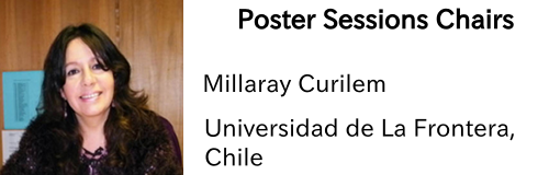wcci-poster-session-millaray